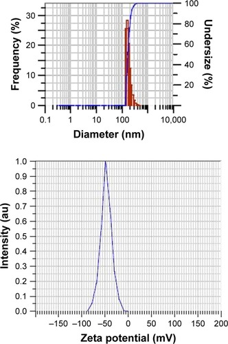 Figure 2 Particle size distribution and zeta potential graphs of plain PLGA nanoparticles (control).Abbreviation: PLGA, poly lactic-co-glycolic acid.
