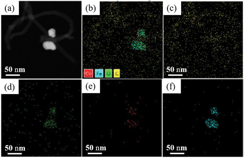 Figure 5. EDS images of 0.28Co/0.26Fe: (a) electron image, (b) layered image, (c) C, (d) O, (e) Co, and (f) Fe.