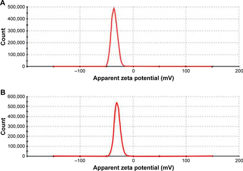 Figure S1 Zeta potential of (A) GNP-PEG and (B) GNP-PEG-R8. The zeta potentials of GNP-PEG and GNP-PEG-R8 were −35.0±5.6 mV and −29.4±0.5 mV, respectively.Abbreviations: GNP, gold nanoparticle; PEG, poly(ethylene glycol); R8, octaarginine.