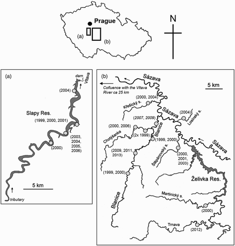 Figure 1. A map of (a) Slapy Reservoir, (b) Blanice River and various trout streams in the south part of Central Bohemia and their locations in the Czech Republic. Grey dots indicate nest sites of Kingfishers Alcedo atthis where the mass of regurgitated pellets (nest sediment) was analysed. Numbers in parentheses indicate the year of sampling. Data published in Čech & Čech (Citation2013) are in italic (n = 2; Blanice River).