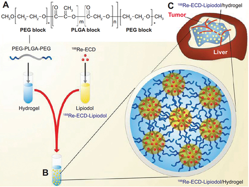 Figure 2 Re-188-ECD Lipiodol® emulsion with thermal responsive characteristic, (A) thermal responsive triblock copolymer emulsifier, (B) Illustration of the emulsion preparation, (C) Re-188-ECD Lipiodol® targeting N1-S1 hepatoma-bearing rats.