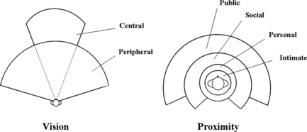 FIGURE 6 Two diagrams showing the spatial structure of the sense of vision and proximity. Notice that proportions have not been respected to make the drawing more readable.
