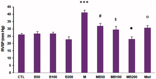 Figure 2. Right ventricular systolic pressure (RVSP) in different experimental groups (mm Hg) in all groups at the end of the 4th week. Values are mean ± SEM. n = 7–8. ***p < 0.001 compared with CTL, B50, B100, and B200 groups. #p < 0.01 compared with M and MB200 groups. ‡p < 0.001 compared with the M group. •p < 0.001 compared with the M group. ○p < 0.01 compared with the M group. RVSP increased in the monocrotaline group compared with other groups and barberry extracts (50, 100, and 200 mg/kg) dose dependently reduced this parameter. CTL, control group; B50, 50 mg/kg barberry extract; B100, 100 mg/kg barberry extract; B200, 200 mg/kg barberry extract; M, monocrotaline group; MB50, monocrotaline + 50 mg/kg barberry extract; MB100, monocrotaline + 100 mg/kg barberry extract; MB200, monocrotaline + 200 mg/kg barberry extract; Msil, monocrotaline + 30 mg/kg sildenafil.