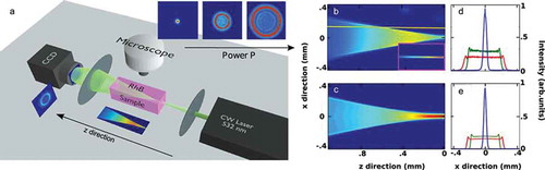 Figure 6. (a) Experimental setup. Authors of [Citation38,Citation40] collected the transmitted and fluorescence images of the laser beam propagating in RhB samples. Two types of launching lenses L1 were used: a cylindrical and a spherical, for the 1D and 2D experiments, respectively. The top fluorescence image of the propagating beam was collected by a microscope placed above the RhB samples. The second lens is spherical and was used to collect the transverse output profile. (b, c) Top-view intensity distribution as obtained from 2D experiment (b) and numerical simulations (c). Respectively experimental (d) and numerical (e) sections of the images (b) and (c) taken at z=0.2 (red), 0.6 (green) and 0.9 mm (blue).Reprinted by permission from Macmillan Publishers Ltd. from [Citation38]. Copyright 2015.