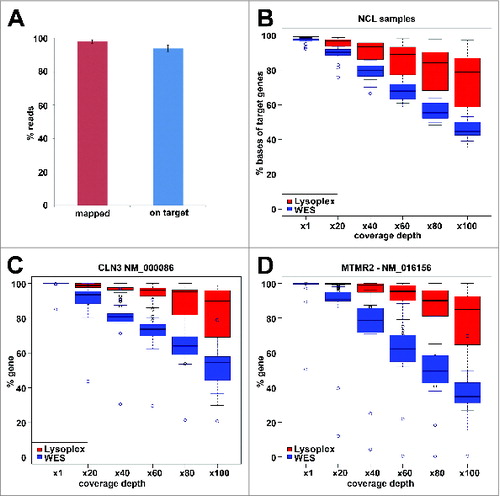 Figure 3. Success rate of Lysoplex in NCL patients. Schematic diagram summarizing the results of the Lysoplex procedure in the NCL patients analyzed. An overall detection rate of 67% was observed. In particular, mutations were identified in 8 NCL known genes. In one case, we found pathogenic mutations in the GLB1 gene (see text for details).