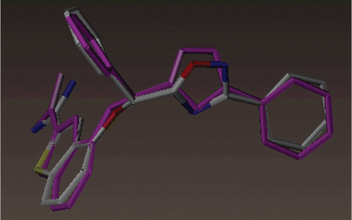 Figure 1.  Conformational comparison of IZX (coloured by atom type) from docking and the original ligand (magenta-coloured) in the crystal structure (PDB ID: 3LC5).