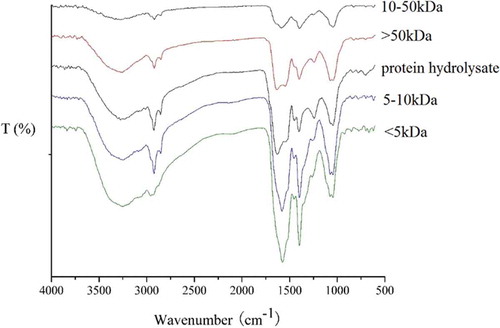 Figure 3. Results of FTIR spectra.