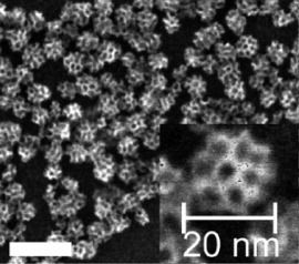 Figure 5. SEM images of nanoporous silica particles (scale bar: 50 nm for the main image). Inset: the magnified image of the particle. (Reprinted with permission from [Citation61], The Royal Society of Chemistry © 2009.)