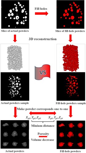 Figure 3. The calculated process of porosity of powders.