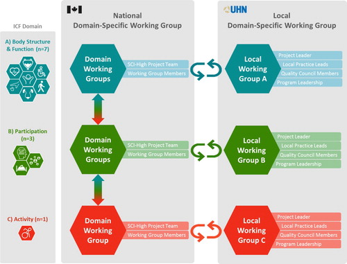 Figure 3 Relationship between national Working Groups and local teams that piloted indicators and provided feedback iteratively between the two groups.
