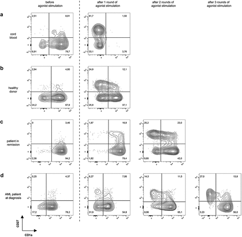 Figure 3. Multiple rounds of agonist peptide stimulation are needed to achieve the selection and maturation of HSPC from adult sources. Maturation of TCR-transduced cells after one or more rounds of agonist peptide stimulation. Contour plots show CD1a (x-axis) and CD27 (y-axis) expression before agonist stimulation and after 1, 2 or 3 rounds of agonist stimulation for TCR-transduced cells in co-cultures from cord blood (a), healthy donors (b), patients in remission after chemotherapy (c) and AML patients at diagnosis (d). Gating on eGFP+ TCR-transduced cells. Numbers indicate percentages of cells in each quadrant. A representative sample from each sample group is shown