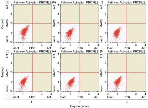 Fig. 6 PI3K/MAPK expression of RPE cells treated without PSPA (control) and with 100 µg/ml PSPA (treated) for 1~3 days.