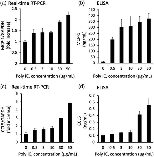 Figure 1. Poly IC induces the expression of MCP-1 and CCL5 in cultured human GECs in a concentration-dependent manner. The cells were treated with various concentrations of poly IC. After 24 h incubation, RNA was extracted and subjected to real-time RT-PCR (a,c). The concentrations of MCP-1 and CCL5 in the medium were analyzed using ELISA (b,d). Data are shown as the means ± SD (n = 3, *p < 0.01, by t-test).