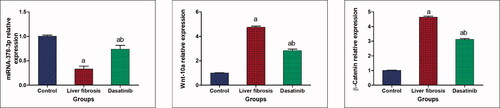 Figure 2. Effect of dasatinib treatment on relative expression of miRNA-378-3p, Wnt-10a and β-catenin in the liver tissue of mice with thioacetamide-induced liver fibrosis. The data are presented as mean ± SEM (n = 6). aSignificant difference from the control group; bsignificant difference from liver fibrosis-inducted group (at p ˂ .05).