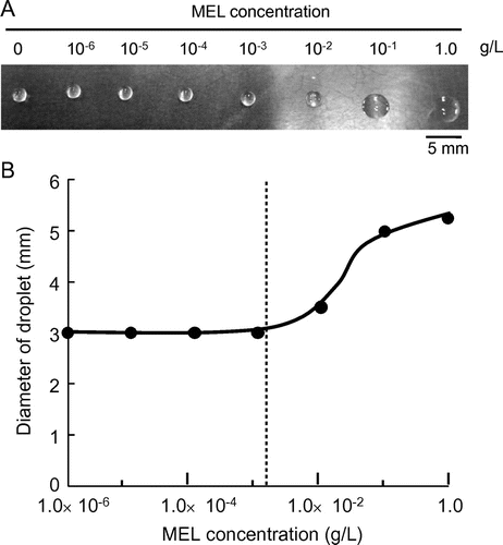 Fig. 2. Drop collapse measurement.Notes: (A) A photograph of droplets containing various concentrations of MEL-A produced by P. antarctica. (B) Diameter of droplets containing various concentrations of MEL-A. The broken line indicates the CMC (2.7 × 10−6 M) of MEL-A.