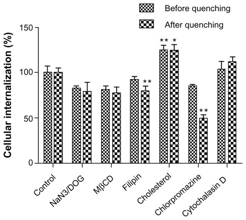 Figure 7 Cellular association of Nile red-labeled liquid crystalline nanoparticles in the presence of different endocytosis inhibitors.Notes: Data shown as the mean ± standard deviation (n = 3). *P < 0.05 and **P < 0.01, significantly different from controls.Abbreviation: MβCD, methyl-β-cyclodextrin.