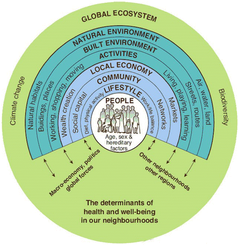 Figure 2. The Health Map. Source: Barton and Grant Citation2006, p. 252, adapted from Dahlgren and Whitehead Citation1991.