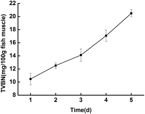 Figure 1. Total volatile basic nitrogen (TVBN) (mg /100 g fish muscle) of fish during cold storage at 4°C.