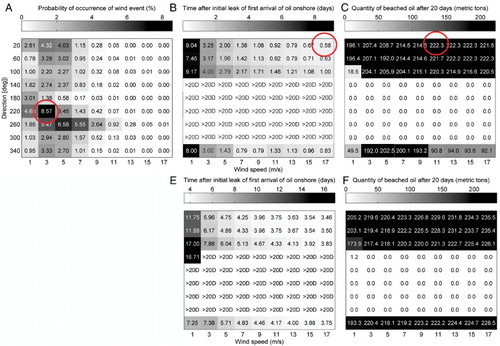 Figure 7. A, The proportion of wind speeds and directions measured at Tauranga airport from 1995 to 2012, split into 81 wind events. B, Modelled (GNOME) times after the initial oil leak for the first oil to be beached, for constant wind conditions. Simulations with no oil landing onshore within 20 days are labelled ‘>20D’. C, Modelled (GNOME) quantities of oil beached at 20 days after the initial oil leak, for constant wind conditions. Circled in red are scenarios with (A) the most common wind condition, (B) the shortest time of arrival and (C) the largest quantity of beached oil. Maps of the circled scenarios in Panels B and C are shown in Figure 8. Panels D and E are for the same wind conditions as in panels B and C, but have been modelled without including the effect of tides.