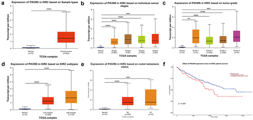 Figure 1. Elevated PIK3R6 expression in CCRCC linked to adverse progression. (a–e) the difference of PIK3R6 mRNA expression among CCRCC tissues and adjacent tissues was analyzed based on sample types, tumor stage, tumor grade, tumor subtype, and tumor metastasis states. (f) TCGA database analysis on UALCAN website showed the relationship between PIK3R6 expression and the patients’ survival rate.