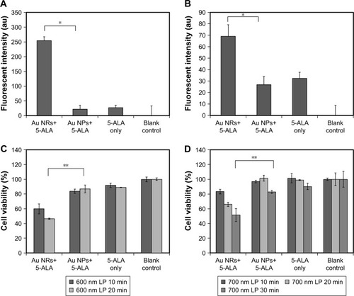 Figure 5 (A) Elevated generation of singlet oxygen in MDA-MB-231 cells after PDT treatments with 600 nm LP filtered light for 20 min and (B) 700 nm LP filtered light for 30 min. The data are representative of three separate experiments; *p<0.01. Cell viability of MDA-MB-231 cells after PDT treatment under (C) 600 nm LP filtered light for 10 and 20 min and (D) 700 nm LP filtered light irradiation for 10, 20, and 30 min. Cell viability was determined by MTT assay 24 h after treatment. **p<0.05.Notes: Prior to light irradiation, cells were treated with the combination of Au NRs and 5-ALA (Au NRs+5-ALA), the combination of Au NPs and 5-ALA (Au NPs+5-ALA), and 5-ALA alone (5-ALA only) without Au nanostructures in serum-free medium. The final concentration of gold and 5-ALA was maintained at 40 µM and 1 mM for each group. Cells treated with serum-free medium without Au nanostructures or 5-ALA were considered as blank control.Abbreviations: 5-ALA, 5-aminolevulinic acid; Au NP, gold nanoparticle; Au NR, gold nanoring; PDT, photodynamic therapy.