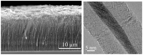 Figure 2. Typical SEM and TEM images of well-aligned iron filled multi-walled carbon nanotubes synthesised by LS-CVD.