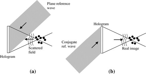Figure 2. Basic off-axis holographic (a) recording and (b) reconstruction setups.
