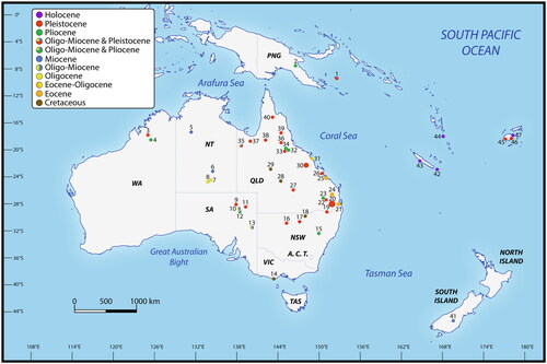 Figure 2. Australasian fossil crocodyliform localities. (1) Busai, Muyua, Papua New Guinea (de Vis Citation1905, Molnar Citation1982a); (2) Awe Fauna, Otibanda Formation, Papua New Guinea (Plane Citation1967); (3) Windjana Gorge, Western Australia (Gorter & Nicoll Citation1978); (4) Quanbun Local Fauna, Western Australia (Flannery Citation1984); (5) Bullock Creek, Northern Territory (Willis et al. Citation1990, Megirian et al. Citation1991, Murray & Megirian Citation1992, Megirian Citation1994, Stein et al. Citation2017, Citation2020, Yates Citation2017); (6) Alcoota Station, Northern Territory (Stirton Citation1967, Woodburne Citation1967, Murray & Megirian Citation1992, Murray et al. Citation1993, Megirian et al. Citation1996, Stein et al. Citation2017, Yates Citation2017); (7) Kangaroo Well Local Fauna, Ulta Limestone, Northern Territory (Megirian et al. Citation2004); (8) Pwerte Marnte Marnte Local Fauna, Northern Territory (Murray & Megirian Citation2006, Yates Citation2017); (9) Warburton River, South Australia (Willis & Molnar Citation1997a); (10) Wipajiri Formation, Lake Ngapakaldi, South Australia (Stirton et al. Citation1961, Citation1967, Willis & Molnar Citation1991b); (11) Cooper’s Creek, South Australia (Willis & Molnar Citation1997a, Vickers-Rich & Rich Citation1999); (12) Lake Palankarinna, Etadunna Formation (Stirton et al. Citation1961, Willis & Molnar Citation1991b), Tirari Formation, and Mampuwordu Sands, South Australia (Hecht & Archer Citation1977, Yates & Pledge Citation2017); (13) Lakes Pinpa and Tarkarooloo, Namba Formation, South Australia (Willis & Molnar Citation1991b). (14) Dinosaur Cove, Otway Ranges, Eumeralla Formation, Victoria (Willis Citation1997b, Salisbury et al. Citation2003, Poropat et al. Citation2018, Paragnani et al. Citation2019); (15) Krui River Local Fauna, New South Wales (Molnar Citation1991); (16) Myrtle Vale, New South Wales (Thompson Citation1980, Willis & Molnar Citation1997a); (17) Cuddie Springs, New South Wales (Dodson et al. Citation1993); (18) Griman Creek Formation, Lightning Ridge, New South Wales (Etheridge Citation1917, Molnar Citation1980, Molnar & Willis Citation2001, Hart Citation2020, Hart et al. Citation2019, Citation2021); (19) Texas Caves, Queensland (Hecht & Archer Citation1977, Archer Citation1978, Molnar Citation1982c); (20) Multiple localities on the Darling Downs (King Creek, west of Pilton, Westbrook or Gowrie Creek, Toowoomba Region), Queensland (Lydekker Citation1888, Molnar Citation1982c, Sobbe et al. Citation2013, Ristevski et al. Citation2020a, Citation2021); (21) Geebung, Runcorn, Eight Mile Plains and Redbank Plains, Brisbane area, Queensland (Jones Citation1927, Riek Citation1952, Willis & Molnar Citation1991a); (22) Macalister, Queensland (Longman Citation1928, Molnar Citation1982b, Willis & Molnar Citation1997a); (23) Chinchilla, Queensland (de Vis Citation1886, Hill et al. Citation1970, Gorter & Nicoll Citation1978, Molnar Citation1982b, Citation1982c, Willis & Molnar Citation1997a, Mackness et al. Citation2010, Louys & Price Citation2015, Chiotakis Citation2018, Ristevski et al. Citation2020a, Campbell et al. Citation2021) and Brigalow, Queensland (Longman Citation1929); (24) Tingamarra Local Fauna, Murgon, Queensland (Molnar Citation1982b, Willis et al. Citation1993, Salisbury & Willis Citation1996, Stein et al. Citation2012, Citation2020); (25) The Narrows Graben, near Gladstone, Queensland (Hills Citation1943, Coshell Citation1986, Holt et al. Citation2005, Buchanan Citation2008, Citation2009, Stein et al. Citation2017); (26) Mt. Etna region, Queensland (Hocknull Citation2009); (27) Lansdowne Station, near Tambo, Queensland (Longman Citation1925); (28) Winton Formation, near Isisford, Queensland (Salisbury et al. Citation2006, Syme & Salisbury Citation2018); (29) Winton Formation at Elderslie Station (White et al. Citation2022) and Karoola Station (Poropat et al. Citation2021); (30) South Walker Creek (Hocknull et al. Citation2020) and near the Nebo district (Willis & Molnar Citation1997a), Queensland; (31) Cape Hillsborough, Queensland (McNamara Citation1993); (32) Bluff Downs Local Fauna, Allingham Formation, Queensland (Archer in Archer & Wade Citation1976, Molnar Citation1979, Willis & Mackness Citation1996, Mackness & Sutton Citation2000); (33) Wyandotte Local Fauna, Wyandotte Formation, Queensland (McNamara Citation1990); (34) Tara Creek, near Maryvale, Queensland (Longman Citation1924, Willis & Molnar Citation1997a, Molnar Citation1982c); (35) Riversleigh World Heritage Area, Queensland (Willis & Archer Citation1990, Willis et al. Citation1990, Willis Citation1993b, Citation1995, Citation1997a, Citation2001, Willis & Molnar Citation1997a, Scanlon Citation2006a, Citation2014, Yates Citation2017, Stein et al. Citation2015, Citation2016, Citation2017, Citation2020, Ristevski et al. Citation2023); (36) “Rosella Plains” Station, Queensland (Molnar Citation1982c); (37) Floraville Downs Station, Queensland (Willis & Archer Citation1990, Willis & Molnar Citation1997a, Molnar et al. Citation2017, Ristevski et al. Citation2019, Stein et al. Citation2020); (38) “Alehvale” Station, Croydon area (Molnar Citation1982c); (39) Tea Tree Cave, Chillagoe area, Queensland (Molnar Citation1982c); (40) “Glen Garland” Station, Queensland (Molnar Citation1982c); (41) Bannockburn Formation, South Island, New Zealand (Molnar & Pole Citation1997, Salisbury et al. Citation2017); (42) Kanumera, Isle of Pines, New Caledonia (Buffetaut Citation1983, Balouet & Buffetaut Citation1987); (43) Pindai Caves, Grande Terre, New Caledonia (Balouet & Buffetaut Citation1987, Anderson et al. Citation2010, Salisbury et al. Citation2010); (44) Arapus and Teouma archaeological sites, Efate, Vanuatu (Mead et al. Citation2002, Hawkins Citation2015); (45) Voli Voli Cave, Viti Levu, Fiji (Molnar et al. Citation2002); (46) Wainibuku Cave, Viti Levu, Fiji (Molnar et al. Citation2002); (47) Naigani, Fiji (Irwin et al. Citation2011).