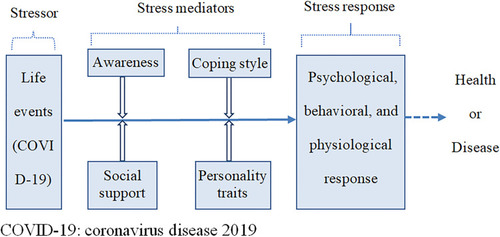 Figure 1 Adaptation of the theoretical framework of the stress system model.