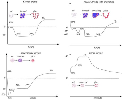 Figure 6. Conceptual drawings showing the drying trajectories of the different drying methods and the state diagram of trehalose and water. The percentages just over the drying trajectories shows the water content in the original solution, the freeze concentrate (according to the state diagram of trehalose and water, Figure 6a) and in the dry structure in the beginning of the secondary drying and after the secondary drying (from Table 4).