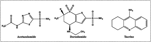 Figure 1. Standard compounds used for carbonic anhydrase I and II isoenzymes (acetazolamide and dorzolamide) and acetylcholinesterase (tacrine) inhibitors.