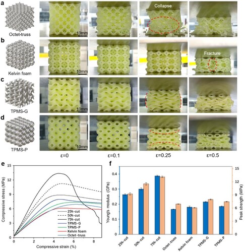 Figure 10. Comparison of mechanical properties among proposed structures and typical mechanical metamaterials. (a–d) Compression test of SLA printed structures with (a) Octet-truss lattice, (b) Kelvin foam, (c) TPMS-G and (d) TPMS-P. (e) Stress-strain curves of different structures. (f) Young’s modulus and peak strength of seven structures (n = 3).