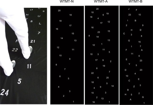 Figure 1 Illustration of WTMT experimental conditions.