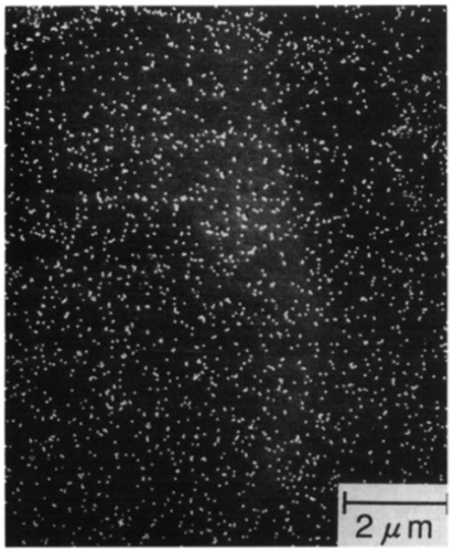 Figure 5. Inhibitors observed by SEM (reproduced with permission from [Citation10] © 1993 Springer).