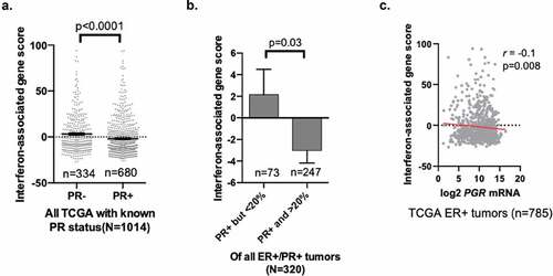 Figure 6. PR status in human tumors is correlated with decreased interferon gene signature.