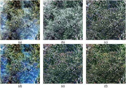 Figure 6. Comparison of recovered results in the first real data: (a) thin cloud image; (b)–(f) recovered results from HOT, HTM, TDCP, SpA-GAN, and the proposed method.