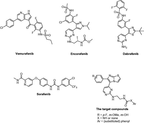 Figure 1. Structures of vemurafenib, encorafenib, dabrafenib, sorafenib, and the target compounds.
