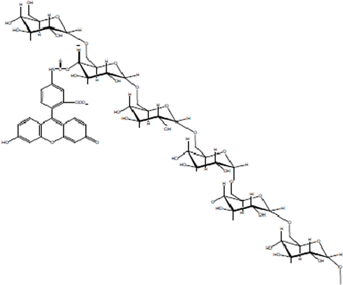 Figure 1.  Structure of fluorescein isothiocyanate dextran 4000.