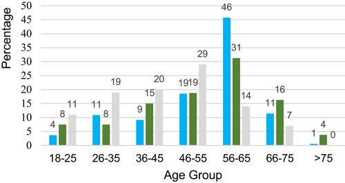 Figure 3 Age groups of patients on renal replacement therapy.