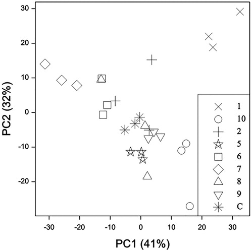 Figure 3. Principal Components Analysis of main mānuka volatiles from known chemotypes (Douglas et al. Citation2004) by HS-SPME-GC-FID. Samples are labeled with their chemotype number, and C = composite check sample. PC1 (41% of total variance) with major contributions from β-caryophyllene +0.61 and trans-calamenene −0.56; PC2 (32%) with major contributions from β-selinene −0.63 and β-caryophyllene +0.60.