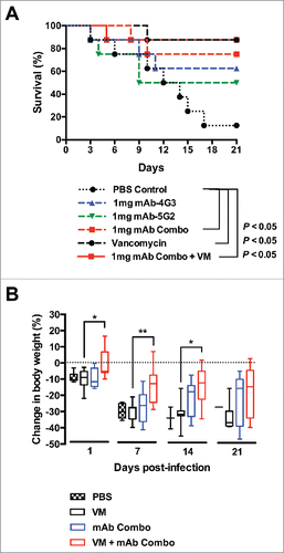 Figure 4. MAb combination is protective against sepsis by S. aureus USA300. (A) 6-8 week old mice female BALB/c mice were intravenously administered 1mg of mAb-4G3 or mAb-5G2 or both (1:1: ratio) or an equivalent volume of PBS control, followed within 1 hr by intravenous administration of 5.1 × 106 CFUs of USA300 strain, B-155. Where indicated, vancomycin was administered once daily for 3 days starting 24 hrs before infection. Survival curves were analyzed by Log-rank (Mantel-Cox) test (GraphPad Prism 6 software). (B) Body weight was monitored daily during the course of 21-day experiment. Change in body weight is relative to weight of same group of mice on Day 0, prior to bacterial challenge. Mann-Whitney test (GraphPad Prism 6 software): * P ≤ 0.05, ** P ≤ 0.01.