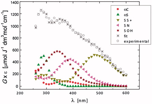 Figure 2. Resolution of the spectral components in the transient absorption spectrum recorded 1.4 μs after the electron pulse in N2O-saturated aqueous solution containing 0.2 mM N-Ac-Gly-Met-Gly at pH 5.4 (the explanation of symbols is in the legend and Scheme 2).