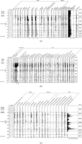 Figure 3. Percentage pollen diagram for Aqualate Mere by depth. (a) Trees and Shrubs; (b) Dwarf Shrubs and Herbs; (c) Spores, Aquatics and selected non-pollen palynomorphs (NPPs). Stratigraphic column follows Troels-Smith (Citation1955). Upper sediment: Argilla stetodes; lower sediment: Detritus herbosus.