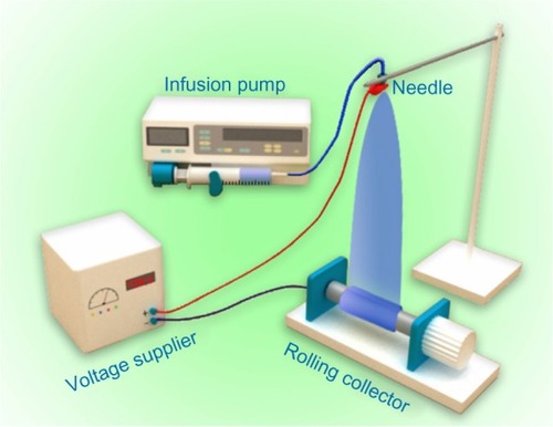 Figure 1 Schematic illustration of the electrospinning apparatus used in this study.