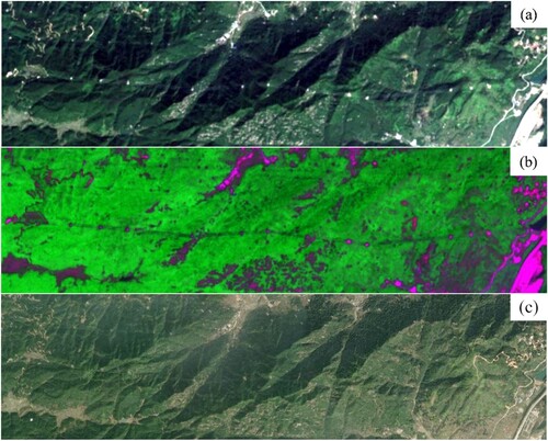 Figure 8. TLL in a subarea: (a) RGB composite of the Sentinel-2, (b) RSB composite of the Sentinel-2, and (c) RGB composite of the Google Earth image.