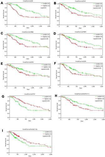 Figure 4 Kaplan–Meier curves of genes with significant influence on prognosis in ceRNA network. A total of seven mRNAs (A–G), one lncRNA (H) and one miRNA (I) were identified as prognostic factors.