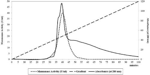 Figure 3. DEAE-sepharose CL6B column as anion exchange column chromatography of B. cereus N1 mannanase preparation. Buffer: 20 mmol/L tris-acetate, pH 7.