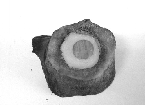 Figure 1. One of the specimens. Note the circular cross section of the aluminium rod.