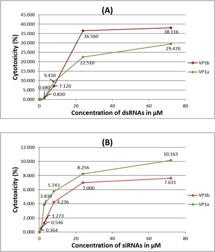 Figure 1. Cytotoxicity assay of different concentrations of dsRNAs (A) and siRNAs (B) specific for two sequences (a and b) of the VP1 genetic region of CVB3 in HEp-2 cells transfected with Oligofectamine™.Note: Values are mean from four replicates.