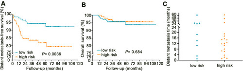 Figure 3 The KaplanMeier survival curves for pCR patients. (A) Distant metastasis-free survival curves for high and low risk groups according to the nomogram model. (B) Overall survival curves for high and low risk groups defined in nomogram model. (C) The distribution of distant metastasis events after TME in low and high risk groups.